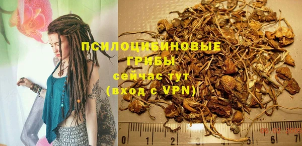 дурь Коряжма